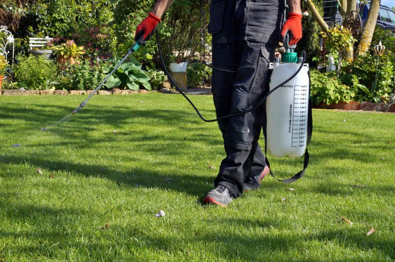 Weekly Lawn Care