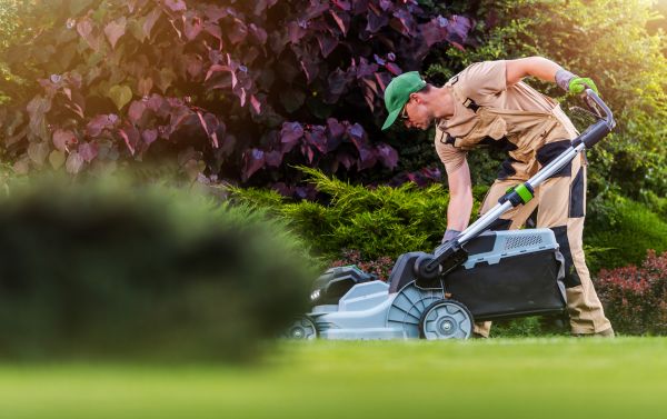 Cost of Lawn Care And Maintenance in Fairfax