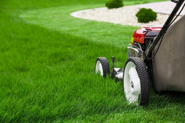 Cost of Mowing Service in Fairfax