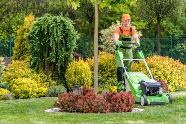Cost of Yard Service in Fairfax